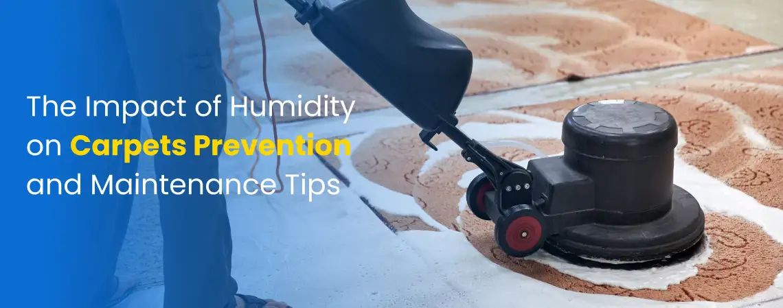 The-Impact-of-Humidity-on-Carpets-Prevention-and-Maintenance-Tips