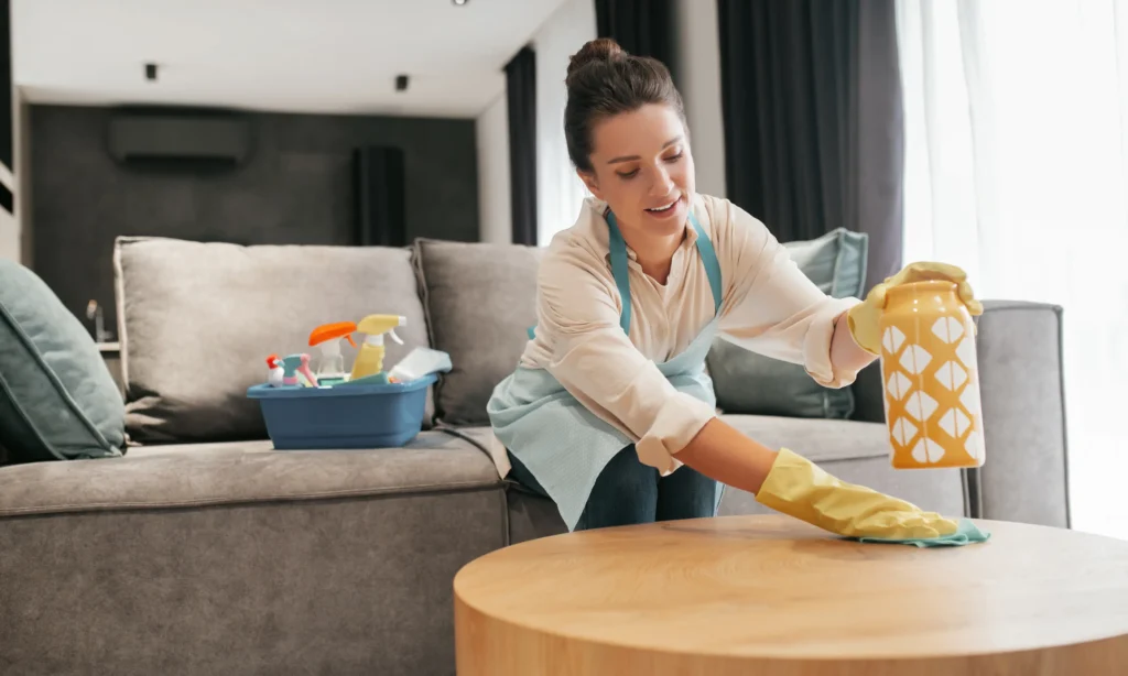 Best Practices for Maintaining a Clean and Healthy Home